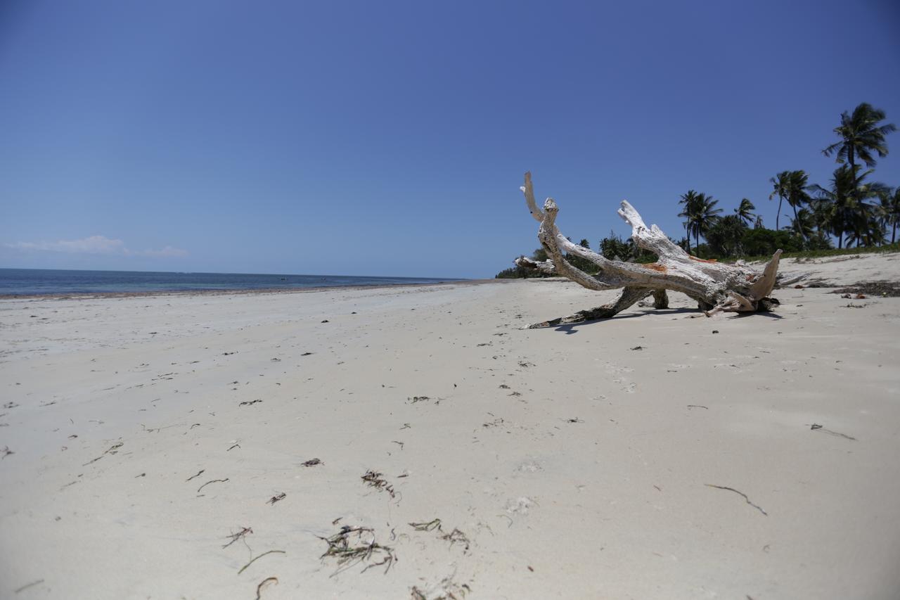 The Beach Crab Resort Pangani Exteriör bild